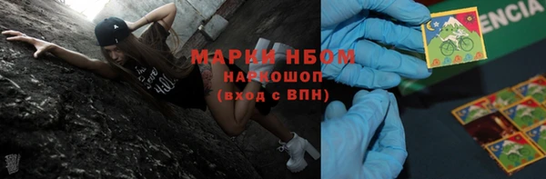 сатива Балахна