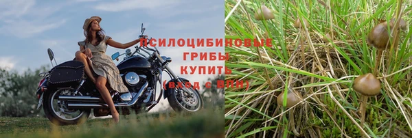 ешки Балабаново