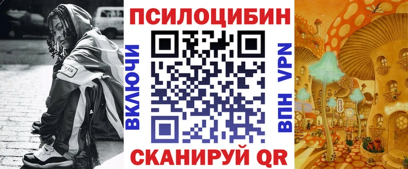 KRAKEN сайт  где продают наркотики  Сегежа  это телеграм  Псилоцибиновые грибы Psilocybe 
